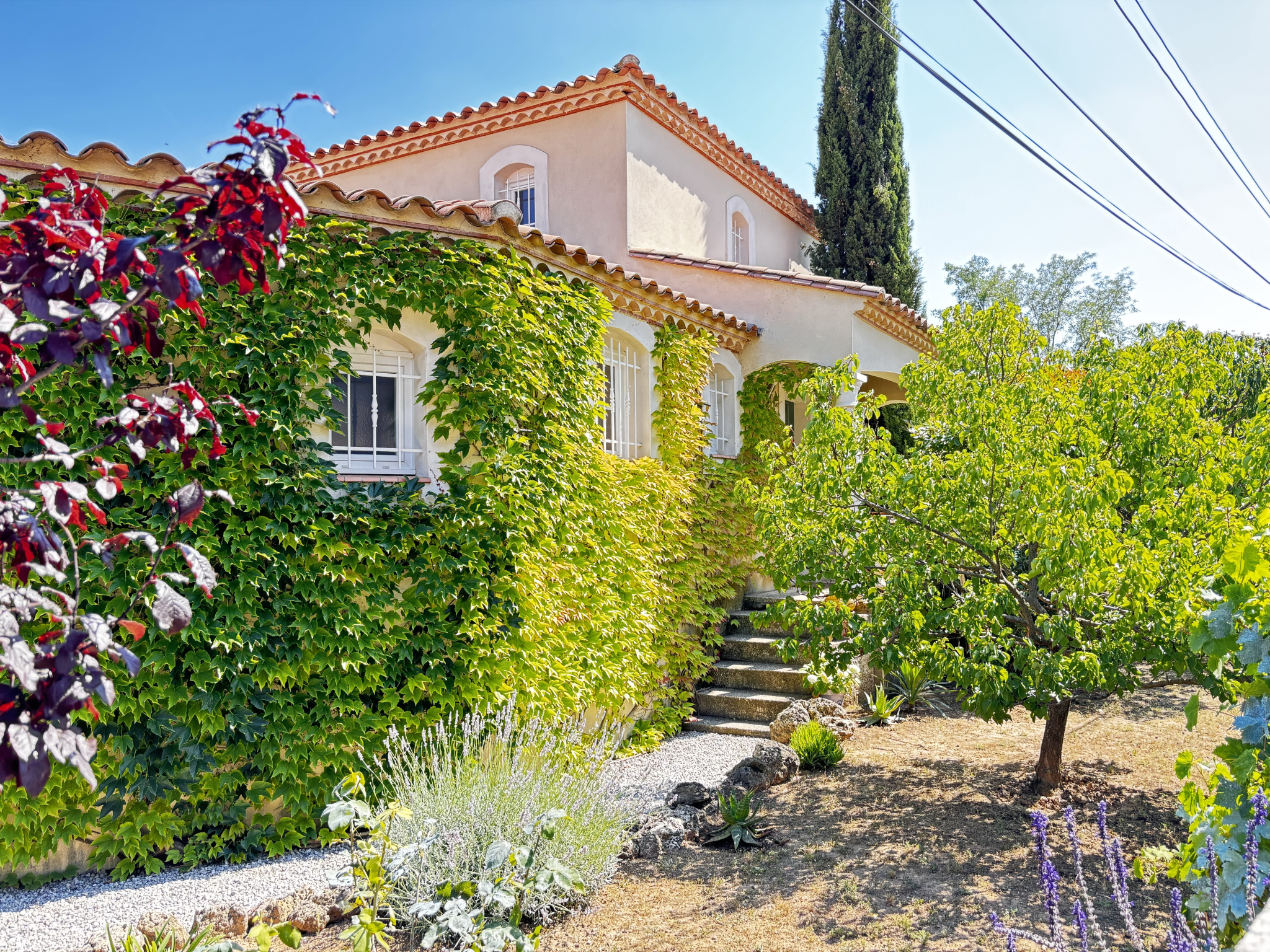Photo bien immobilier
